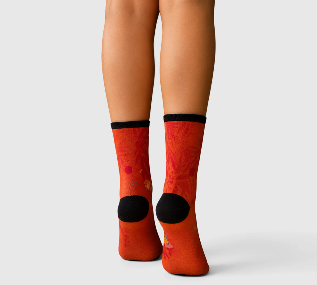 Chaussettes douces originales motif colibri